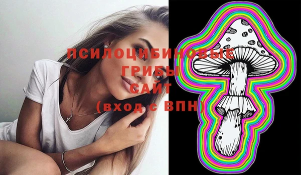 ECSTASY Заводоуковск