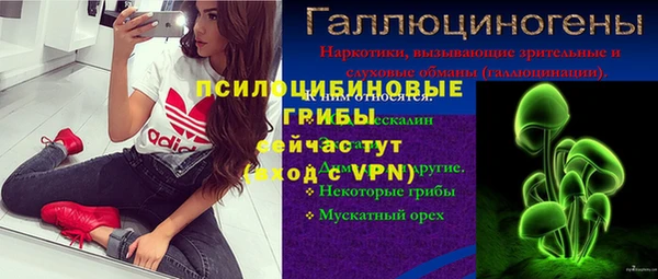 ECSTASY Заводоуковск