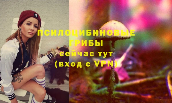 ECSTASY Заводоуковск